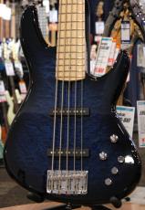 T's Omni-5st/22 --Arctic Blue Burst--【4.11kg】【S/N:080102】