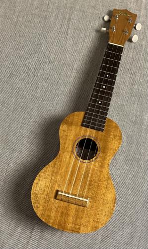 Famous FS-5G【48回無金利】【70年続く老舗メーカー】