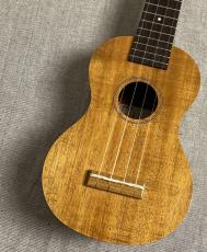 Famous FS-5G【48回無金利】【70年続く老舗メーカー】_2