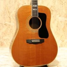 Guild D-55 NT 1978