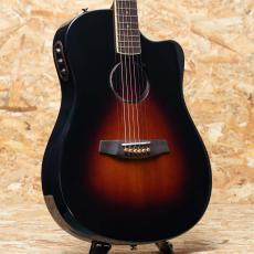 L.R.Baggs AEG-1 SB 2024