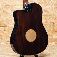 L.R.Baggs AEG-1 SB 2024_2