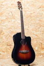 L.R.Baggs AEG-1 SB 2024_3