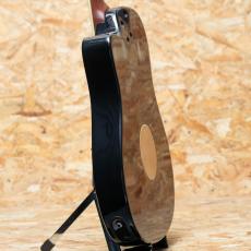 L.R.Baggs AEG-1 SB 2024_5