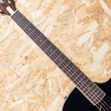 L.R.Baggs AEG-1 SB 2024_6