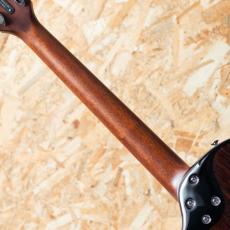 L.R.Baggs AEG-1 SB 2024_7