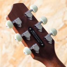 L.R.Baggs AEG-1 SB 2024_9