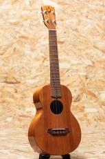 G-String Hawaiian Koa Tenor 2004_3