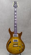 B3 Guitars Wood Light Tobacco Burst ThroBak_2