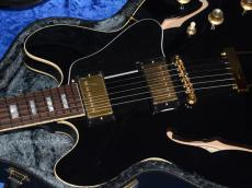 Archtop Tribute AT135TTP_6