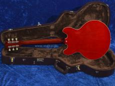 Archtop Tribute AT135TTP 2020年代 新品 1102216 Archtop
