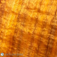 ASTURIAS Solo Ukulele Koa_10