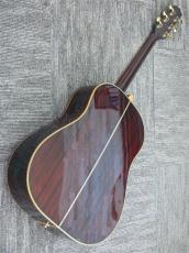 Takamine TDP800 Custom 木葉梟_2