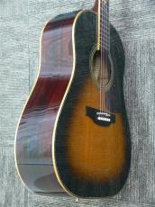 Takamine TDP800 Custom 木葉梟_5