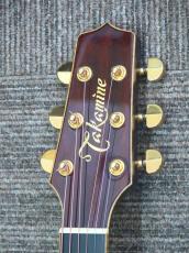 Takamine TDP800 Custom 木葉梟_7
