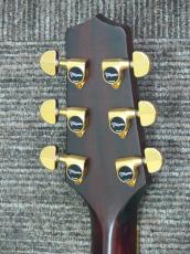 Takamine TDP800 Custom 木葉梟_8