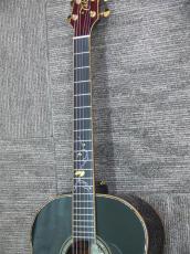 Takamine TDP800 Custom 木葉梟_9