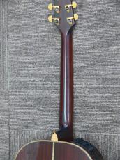 Takamine TDP800 Custom 木葉梟_10