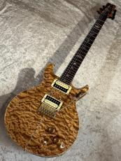 Paul Reed Smith [PRS] 【USED】Private Stock Santana II Brazilian Rosewood 2001年製【G-CLUB TOKYO】_2