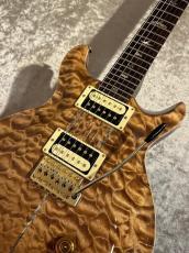 Paul Reed Smith [PRS] 【USED】Private Stock Santana II Brazilian Rosewood 2001年製【G-CLUB TOKYO】_3