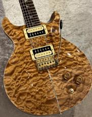 Paul Reed Smith [PRS] 【USED】Private Stock Santana II Brazilian Rosewood 2001年製【G-CLUB TOKYO】_6