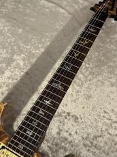 Paul Reed Smith [PRS] 【USED】Private Stock Santana II Brazilian Rosewood 2001年製【G-CLUB TOKYO】_7