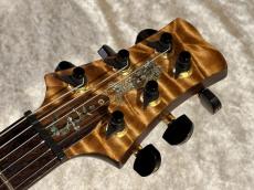 Paul Reed Smith [PRS] 【USED】Private Stock Santana II Brazilian Rosewood 2001年製【G-CLUB TOKYO】_8