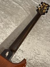 Paul Reed Smith [PRS] 【USED】Private Stock Santana II Brazilian Rosewood 2001年製【G-CLUB TOKYO】_10