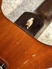 Paul Reed Smith [PRS] 【USED】Private Stock Santana II Brazilian Rosewood 2001年製【G-CLUB TOKYO】_15