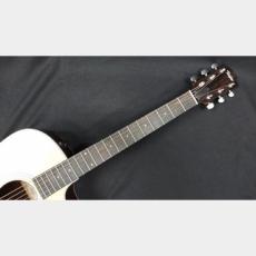 Taylor 210ce Rosewood_9
