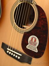 Headway 【ウェブ限定!!入門セット付!!】HF-Essential《アコースティックギター》【オンラインストア限定】_10