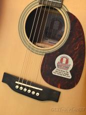 Headway 【ウェブ限定!!入門セット付!!】HD-Essential《アコースティックギター》【オンラインストア限定】_10