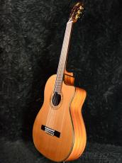 Martinez MP-12MH 杉/マホガニー【ローン金利0%!!】【オンラインストア限定】_2