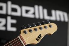 ESP 9mm Parabellum Bullet TYG コレクター委託品_2