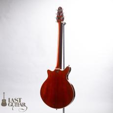 Kz Guitar Works Kz RS Replica_13