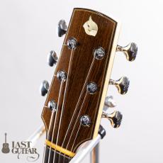 Iwaneko Guitars Type-Vibrato OC_8