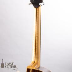 Iwaneko Guitars Type-Vibrato OC_10