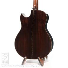 Fonzo Guitar V33C SJ FC_4