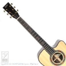 Fonzo Guitar V34S D VC_9