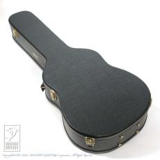 Fonzo Guitar V34S D VC_13