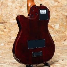 Godin Multiac Mundial Kanyon Burst_2