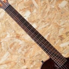 Godin Multiac Mundial Kanyon Burst_6
