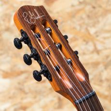 Godin Multiac Mundial Kanyon Burst_8