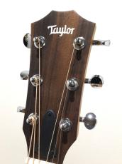 Taylor 24ce_3