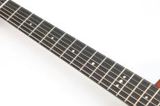 Taylor Gold Label 717e / SB_7