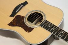 Taylor Legacy 810e_2