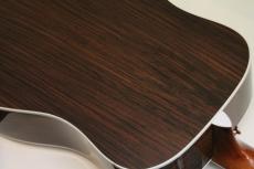 Taylor Legacy 810e_3