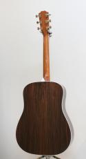 Taylor Legacy 810e_6