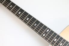 Taylor Legacy 810e_7