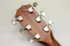 Taylor Legacy 810e_10